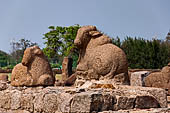 Mamallapuram - Tamil Nadu. The Shore Temple. The stone wall with rows of seated Nandi bulls. 